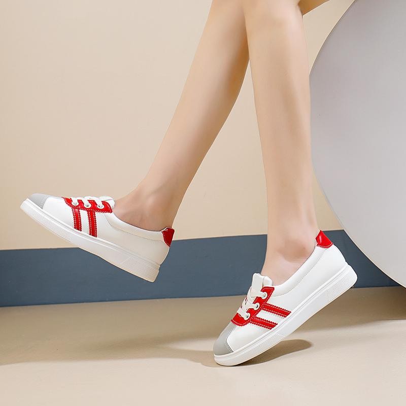 รูปภาพ 8