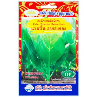เมล็ดพันธุ์ คะน้ายอดคัดพิเศษ แซมซั่น 98 ภูเขาทอง
