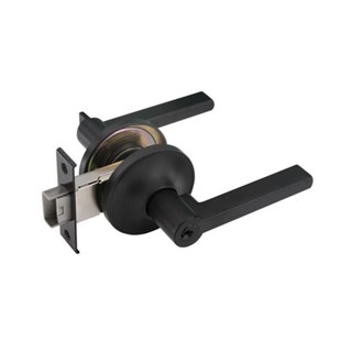 SOLEX เขาควายทั่วไป 1805 สีดำ จัดส่งโดย HomePro