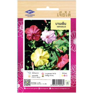 เมล็ดดอกไม้บานเย็น เจียไต๋