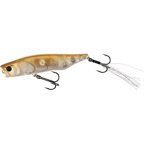 Shimano Bass Lure Pencil Popper Bantam Rigen 66F Flash Boost Zr-T66W 010 กุ้งกล้ามเนื้อ
