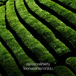 shu uemura ชู อูเอมูระ anti/oxi+ pollutant cleansing oil 450ml คลีนซิ่งออยล์ สูตรบำรุงผิว ช่วยขจัดสิ่งตกค้าง
