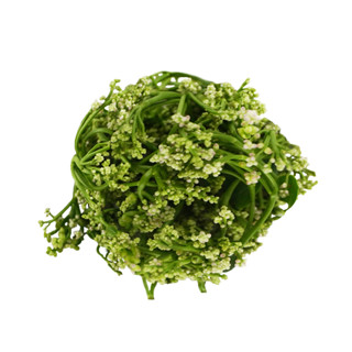 ส่งพรุ่งนี้ ดอกผักปลัง 500 กรัม/แพ็ค ออกใบกำกับภาษีได้