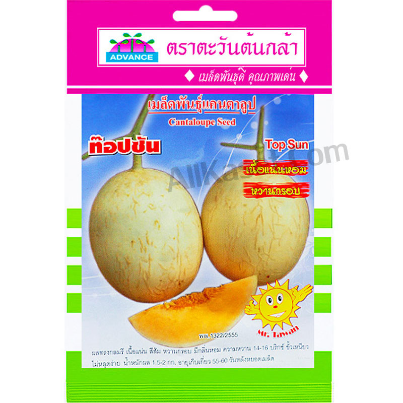 เมล็ดแคนตาลูป ท๊อปซัน ตราตะวันต้นกล้า