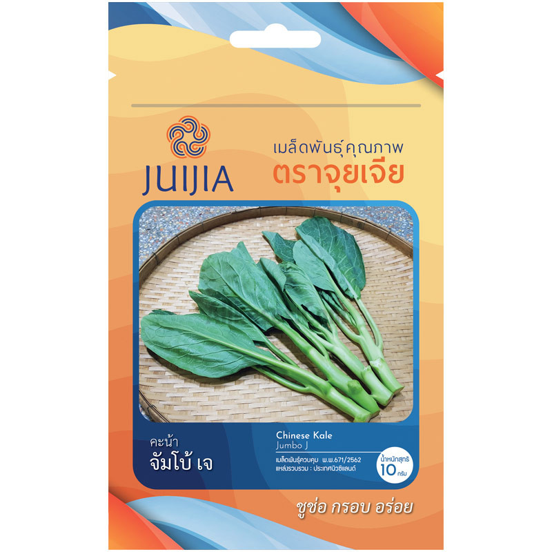 เมล็ดพันธุ์ คะน้าจัมโบ้ เจ จุยเจีย