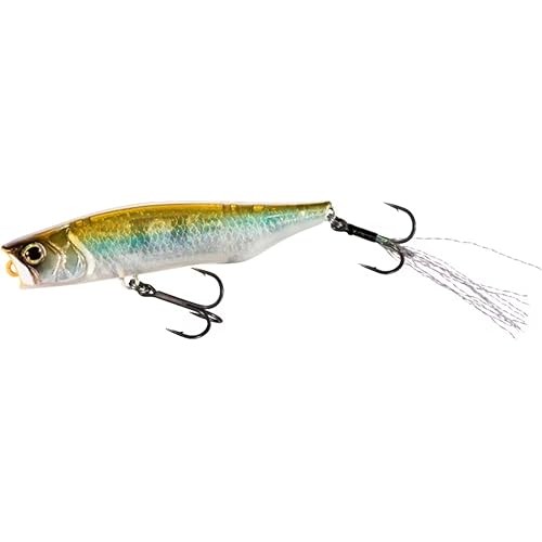 Shimano Bass Lure Pencil Popper Bantam Raigen 66F Flash Boost Zr-T66W 008 St เชียร์ลีดเดอร์
