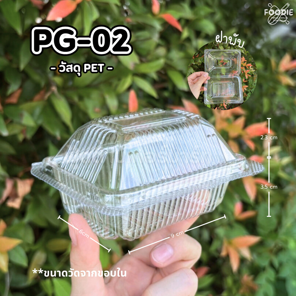 PG กล่อง 02 ฝาล็อค 100ชิ้น