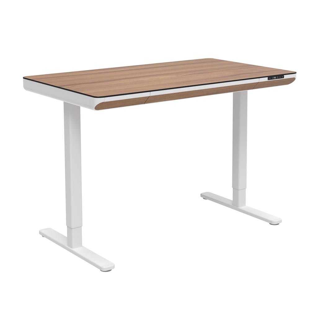HomePro โต๊ะทำงานปรับระดับไฟฟ้า  VISTA THEA2D-FM1S2-1200L 120 ซม. สีไลท์ วอลนัท แบรนด์ FURDINI