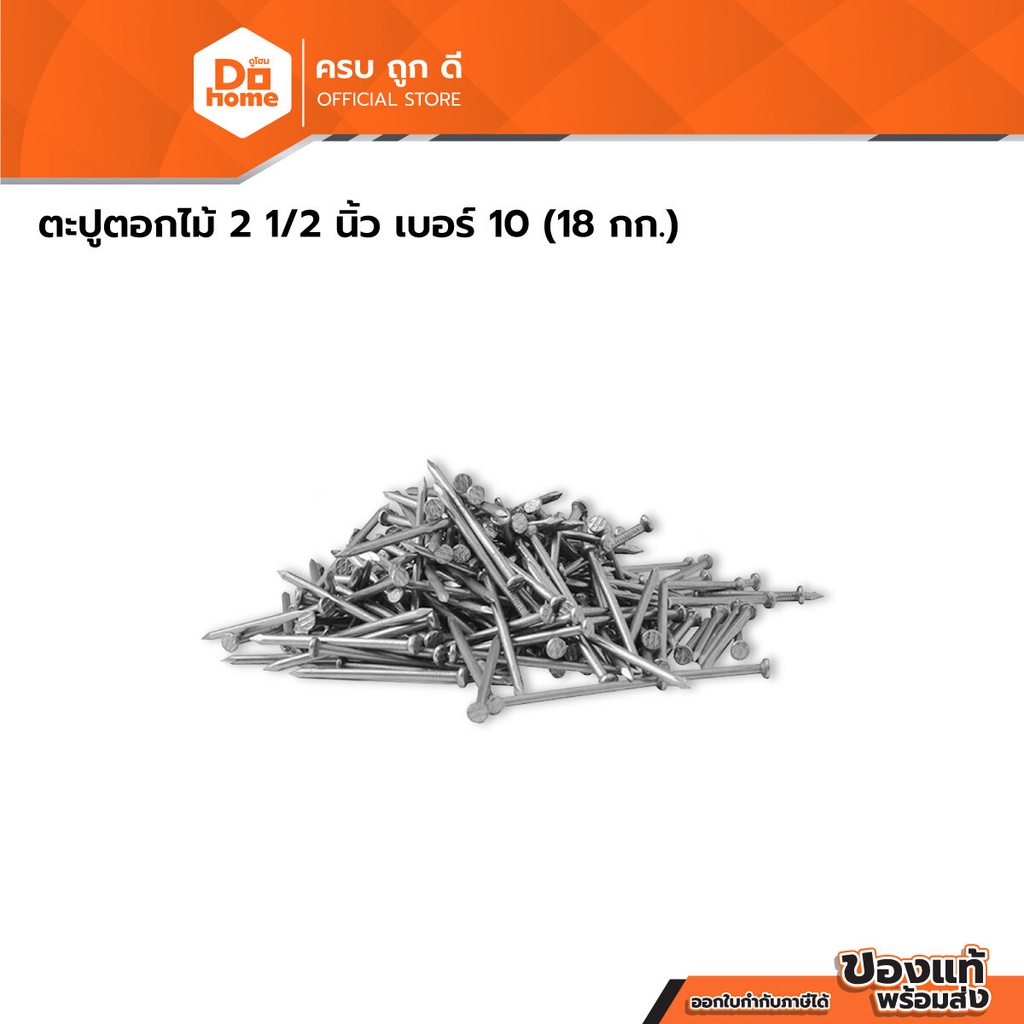 ตะปูตอกไม้ 2 1/2 นิ้ว เบอร์ 10 (ลัง 18 กก.) |E|