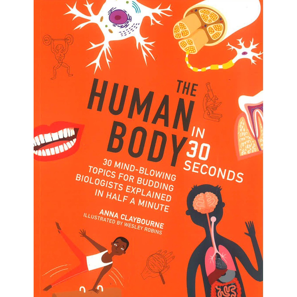 BBW หนังสือเด็ก Human Body In 30 Seconds ISBN: 9780711288638