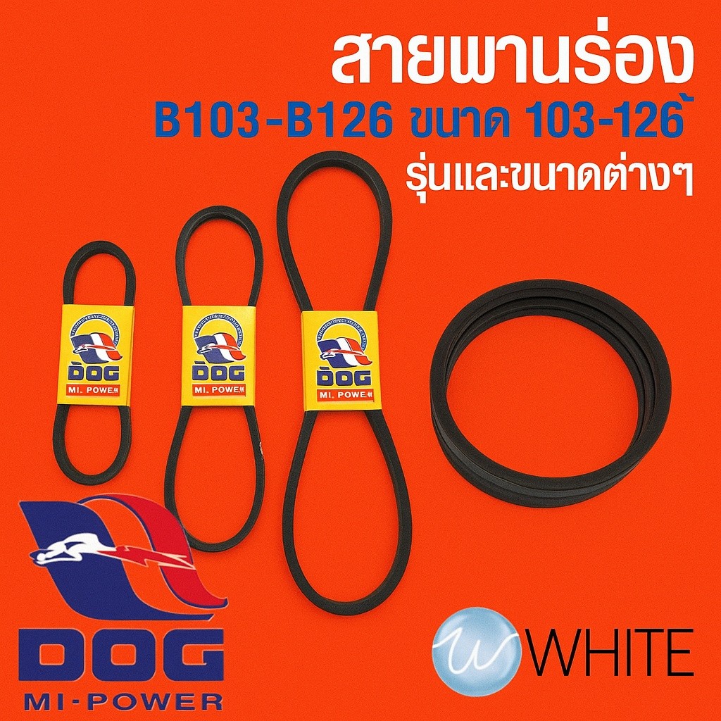 DOG สายพานร่อง B103-B126 ขนาด 103-126 นิ้ว