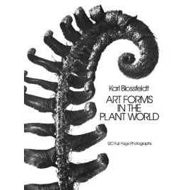 Art Forms in the Plant World (Dover Pictorial Archive) [Paperback]