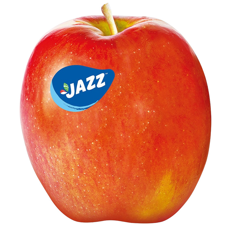 [0161017] Fg Apple Jazz No.120 แอปเปิ้ลแจ๊ส เบอร์ 120 ราคาต่อลูก