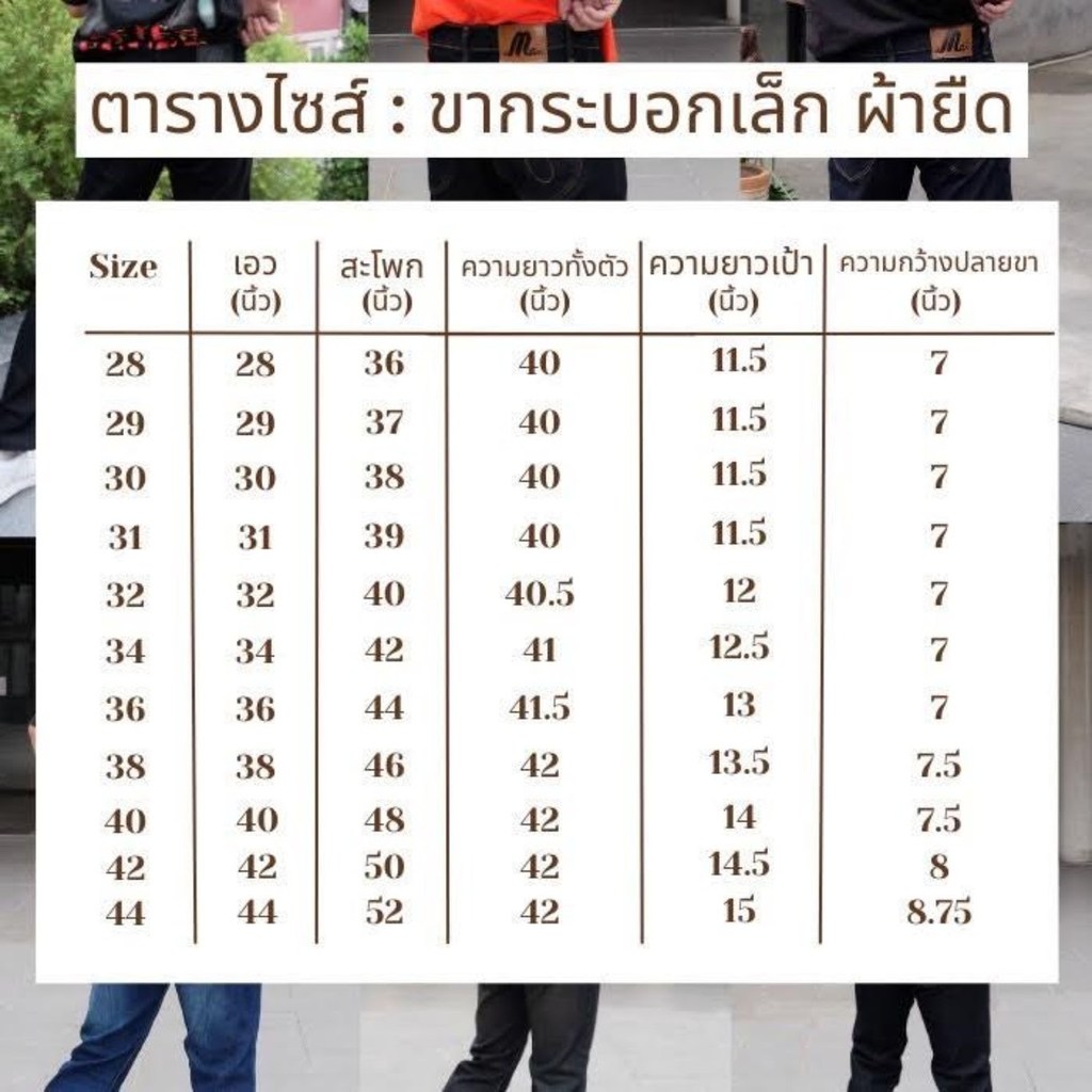 รูปภาพ 8