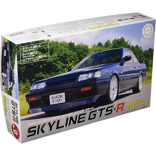 FUJIMI model 1/24 Inch up series No.13 Nissan Skyline GTS-R HR31 1987 2-door sports coupe Plastic ID