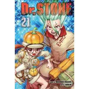 Dr. STONE, Vol. 21 : Stone Sanctuary (Dr. Stone) [Paperback]