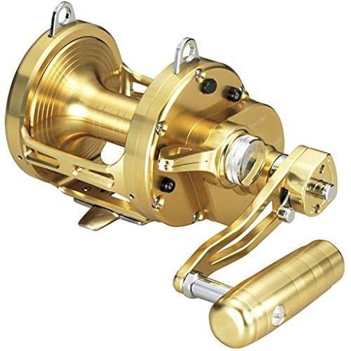 DAIWA double axis reel Sealine LD 60 2 SP 2014 model
