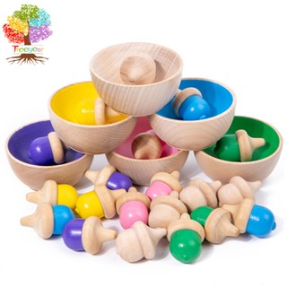 Treeyear Montessori ของเล่นไม้ คลิป Pinecone คัดแยกสี ของเล่นประสาทสัมผัส นับเกม วิจิตร มอเตอร์ ของเล่นเพื่อการเรียนรู้ สําหรับเด็กวัยหัดเดิน