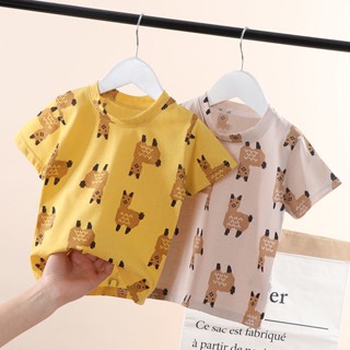 พร้อมส่ง เสื้อยืดแขนสั้น คอกลม ผ้าฝ้ายแท้ พิมพ์ลายการ์ตูนเสือดาว เข้ากับทุกการแต่งกาย แฟชั่นฤดูร้อน สไตล์เกาหลี สําหรับเด็กผู้หญิง