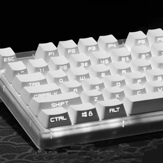 【JKDK】Pure white/black  keycaps side  font transmits light OEM profile PBT keycap set for mx switch keyboard