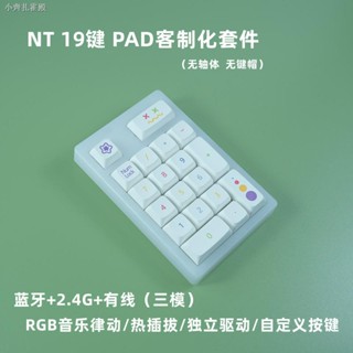 คีย์บอร์ดตัวเลขภายนอก NT PAD ชุดที่กําหนดเอง 19 คีย์ คีย์บอร์ดเชิงกล RGB แป้นพิมพ์ตัวเลข ปลั๊กร้อน