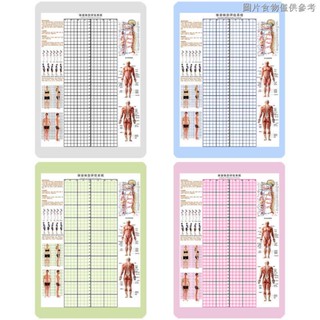 [แผ่นประเมินท่าทาง] สติกเกอร์วอลล์เปเปอร์ วัดท่าทาง การแพทย์แผนภูมิจีน สําหรับออกกําลังกาย โยคะ ห้องโถง การสอนส่วนตัว