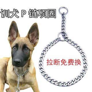 [Universal Dog Leash] ปลอกคอฝึกสุนัข P Chain Correction Explosion-Proof ปลอกคอสุนัขเดิน โซ่ ขนาดใหญ่ กลาง เล็ก ใช้ระเบิด - Proo