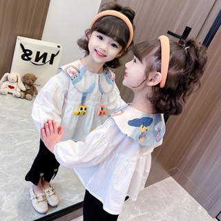 [CikiBaby] เสื้อเชิ้ต ผ้าฝ้ายแท้ สีขาว แฟชั่นฤดูใบไม้ผลิ และฤดูใบไม้ร่วง สไตล์เกาหลี สําหรับเด็กผู้หญิง