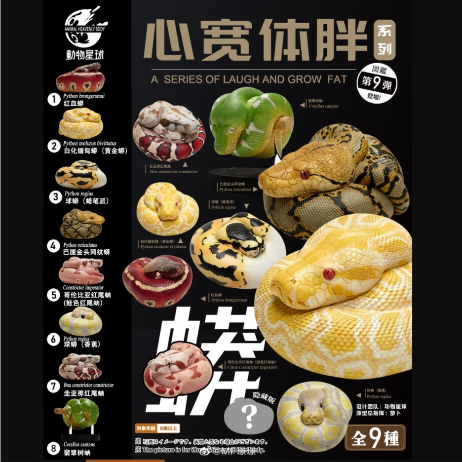 Animal Planet Heart Wide Body Fat No. 9 Python Chapter Red Blood Python Gold Python Bali Gold Head R