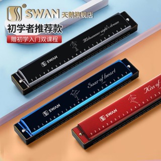 Swan harmonica S3 เครื่องดนตรีโพลีโฟนิก 24 รู คีย์ C ขนาดเล็ก สําหรับเด็ก และผู้ใหญ่