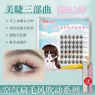 [Lazy Trilogy False Eyelashes] [Segmented Style] ขนตาปลอม คุณภาพสูง สไตล์ดอกทานตะวัน ขนตาปลอม ไตรภาคขี้เกียจ สามเฉียจ มือใหม่