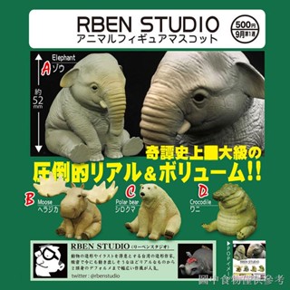 Qitan KITAN Gashapon RBEN ตุ๊กตาหมีขั้วโลก ช้าง จระเข้ หมีขั้วโลก ทรงกลม น่ารัก