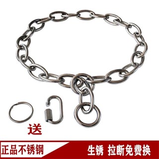 [Universal Dog Leash] ปลอกคอสเตนเลส P Chain ขนาดเล็ก กลาง ใหญ่ ใหญ่ สีทอง สําหรับฝึกสุนัข