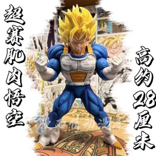 โมเดลฟิกเกอร์ Dragon Ball sFat Studio Goku Muscle Goku สําหรับตกแต่ง