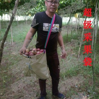 ถุงหยิบผัก ผลไม้ กีวี่ Zhichuang Orchard