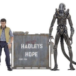 [BTF] ฟิกเกอร์ Neca Alien Hardley Alien Warrior 23.3 ซม. PVBM