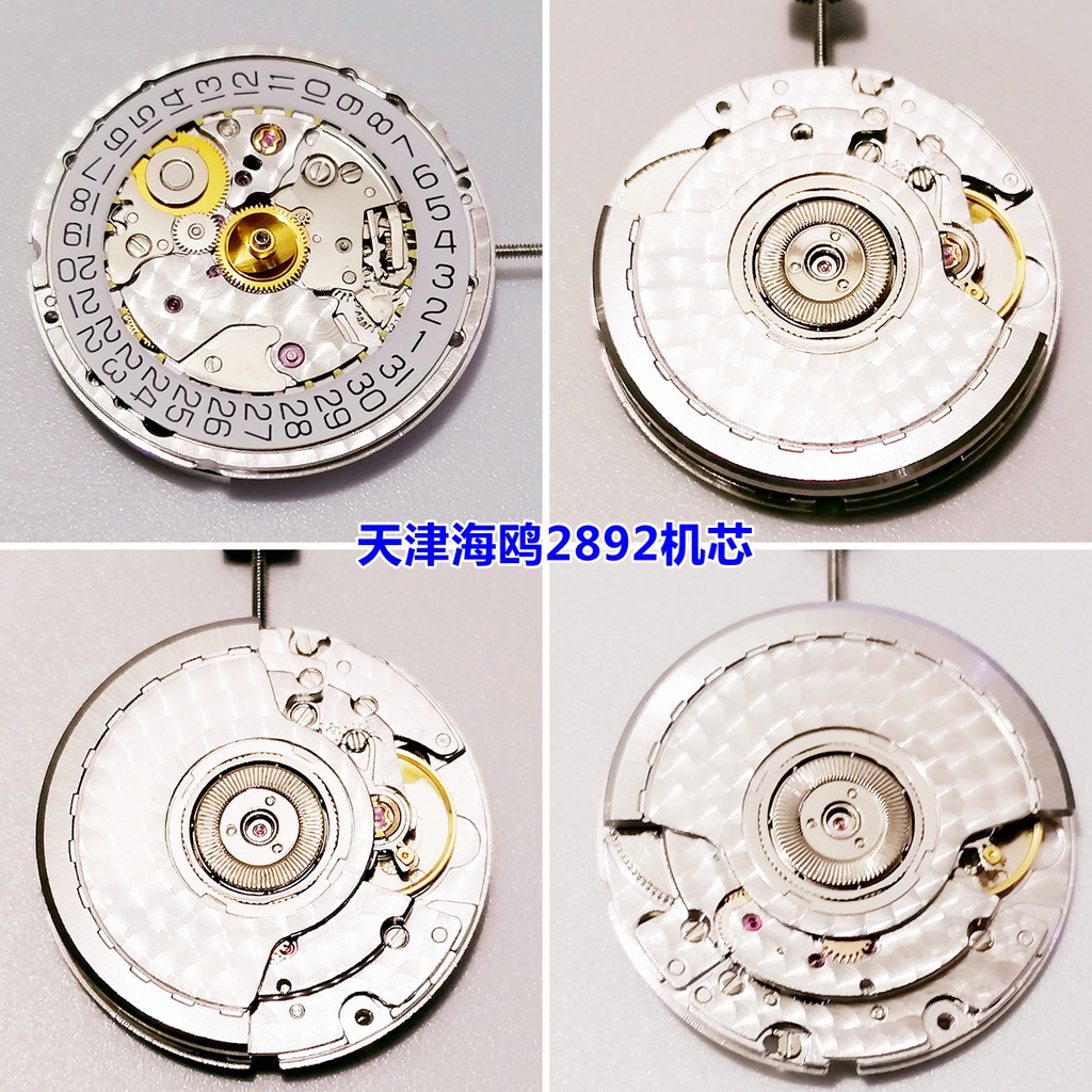 การเคลื่อนไหวของนาฬิกา เทียนจิน นกนางนวล 2892 การเคลื่อนไหว 2892-2 อุปกรณ์เสริมการเคลื่อนไหวภายในประ