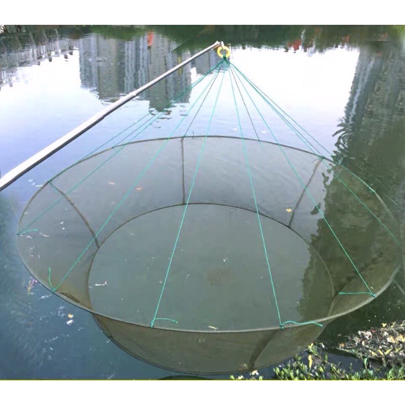 SHRIMP - SHRIMP - FISH LATEST MODEL 2023
