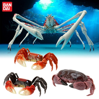 Bandai ของเล่นแคปซูลปู ปู แมงมุม ปู ขายาว ขยับได้
