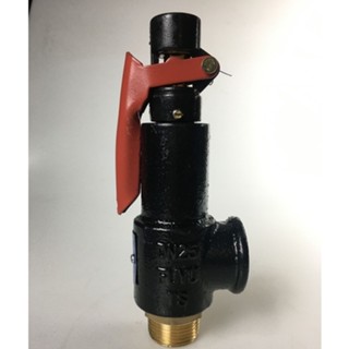 A27w-10t สปริงวาล์วนิรภัย A27W-16T สําหรับถังเก็บแก๊ส