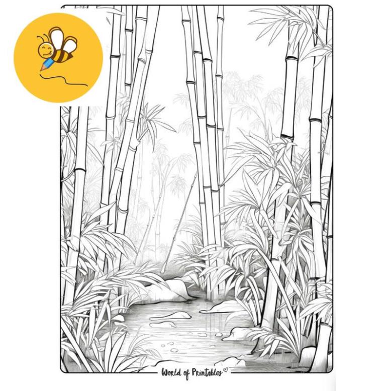 ภาพวาดภูมิทัศน์ป่าและสตรีม - ชุด 10-20 ก4 ก5 หน้าสีสําหรับระบายสีขี้ผึ้งและดินสอ - มังงะ มิค อะนิเมะ สี
