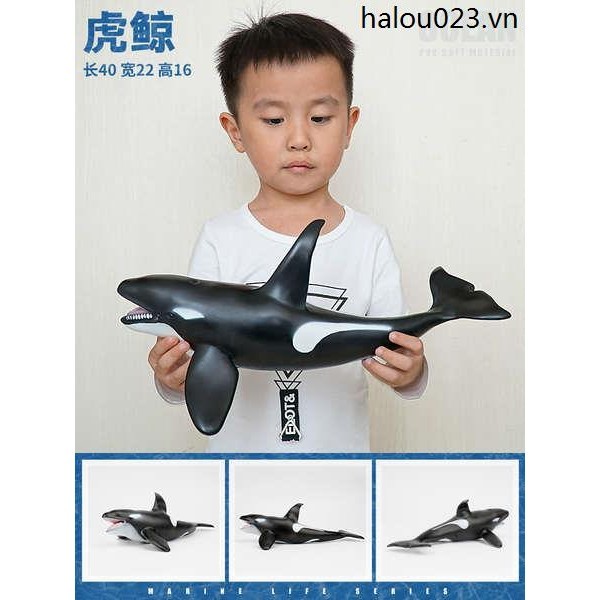 Killer Whale Reverse Halberd Whale Big Whale Whale Shark Killer Shark จําลองของเล่นสัตว์ทะเล Super ข