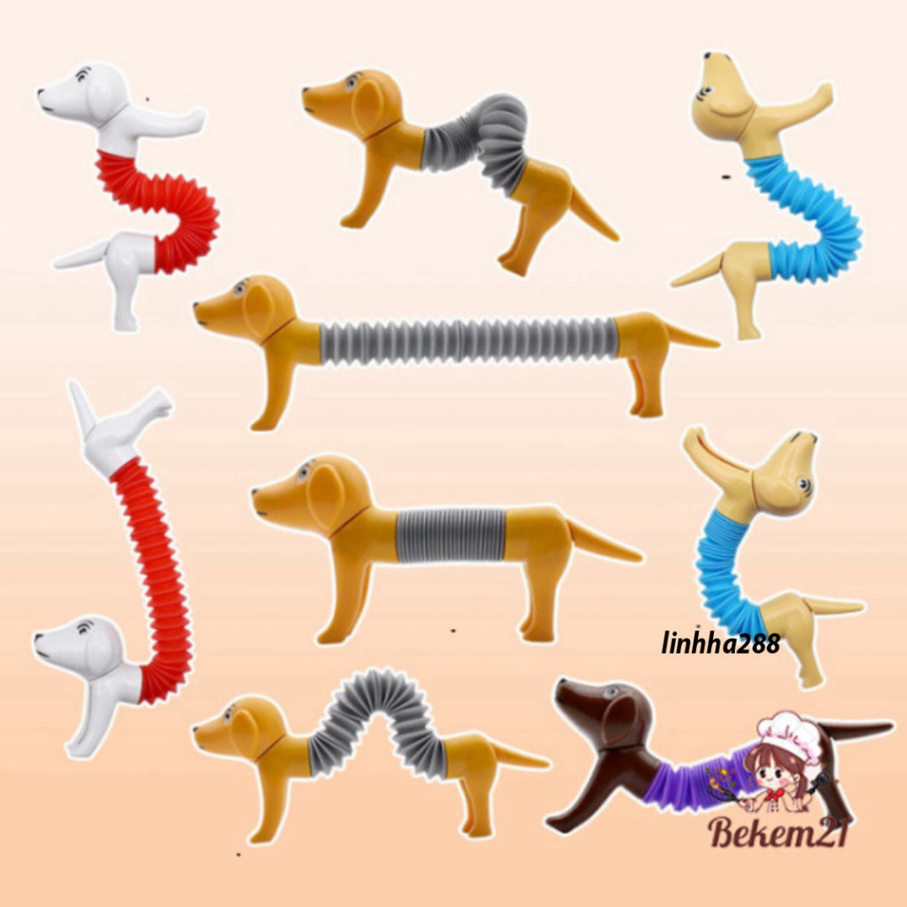 ของเล่นสุนัขเกลียว Pop Tube ขั้นสูงที่สุด 2024