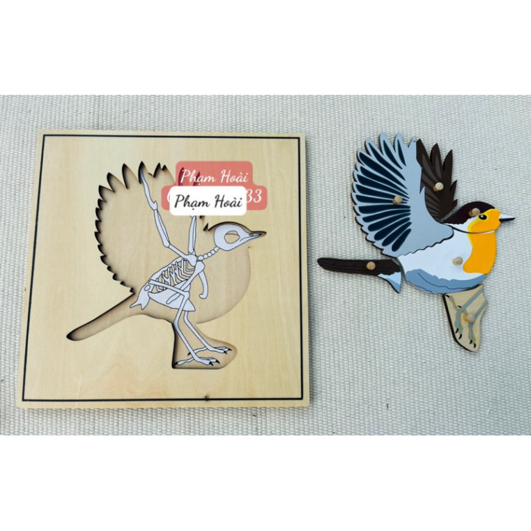 Bird Puzzle, bone Bird Puzzle, Bird & Skeleton Puzzle
