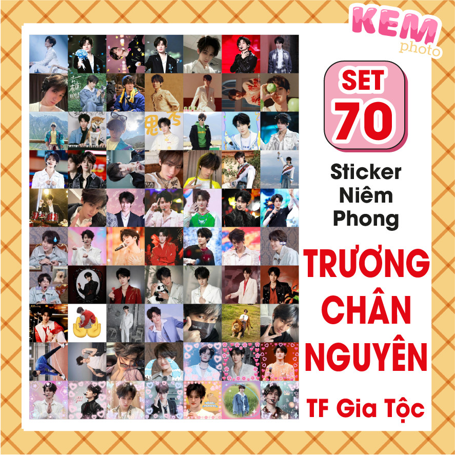ชุดสติ๊กเกอร์ปิดผนึก 70 ชิ้น TRUONG CHAN NGUYEN - ZHANG ZHEN YUAN - TF FAMILY - Cut out - สติ๊กเกอร์