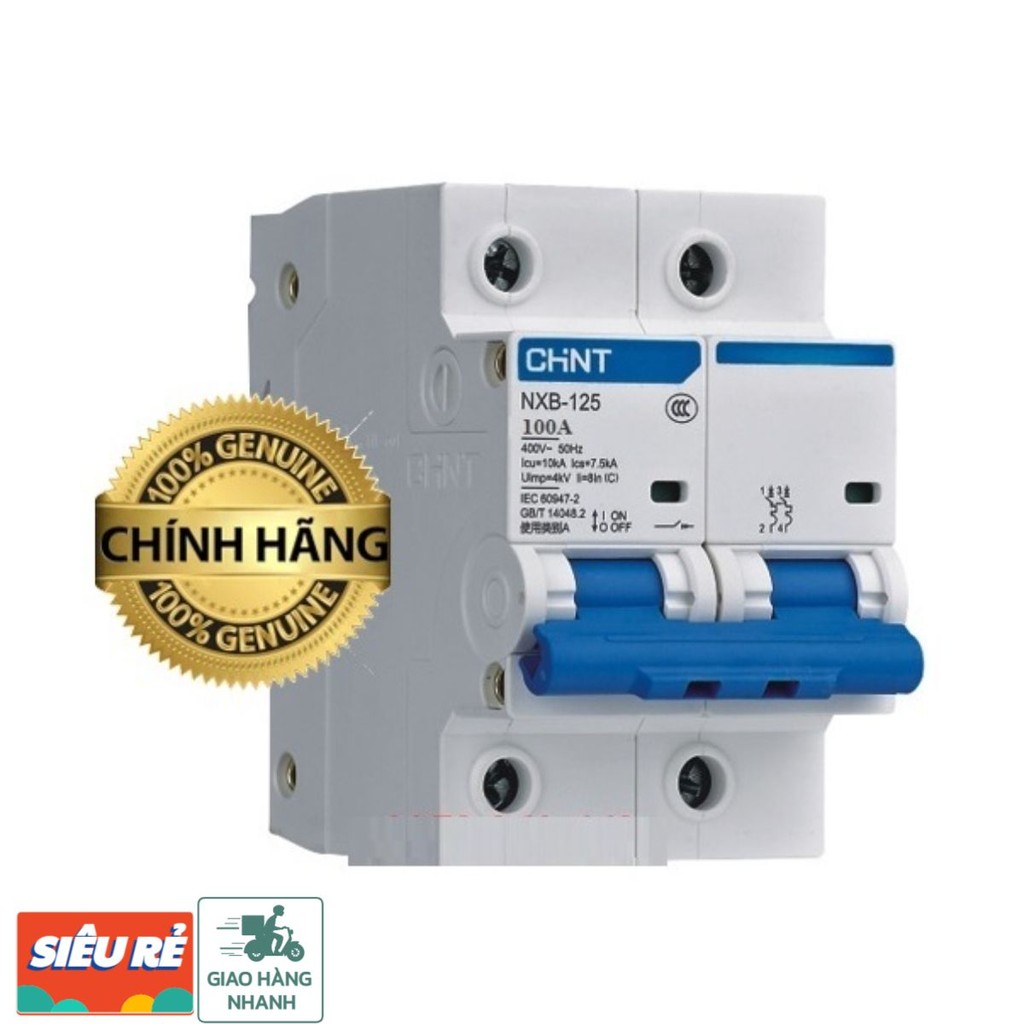 Ace CHINT MCB 2P 100A - 3P, 4P 100A NXB-125 10KA