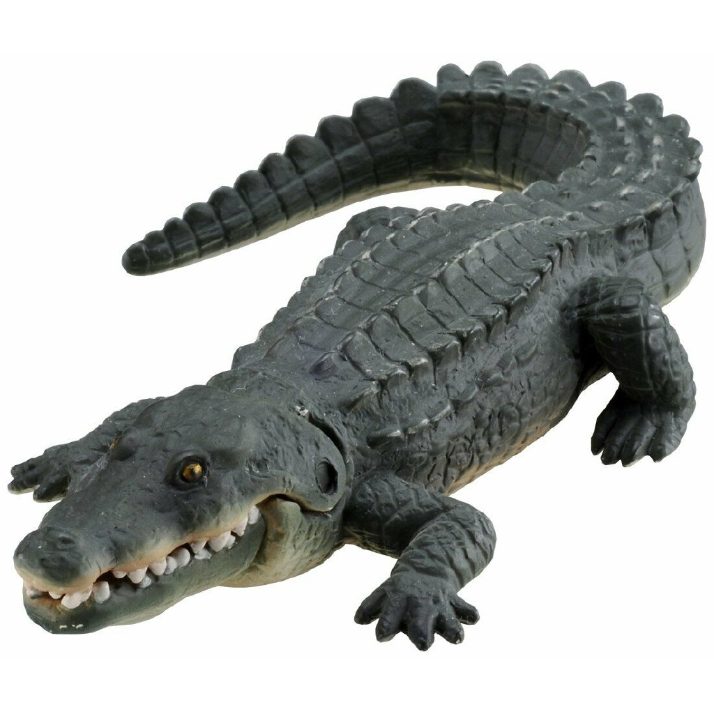 โมเดลของเล่นเด็ก Crocodile AS-08 Nile Crocodile
