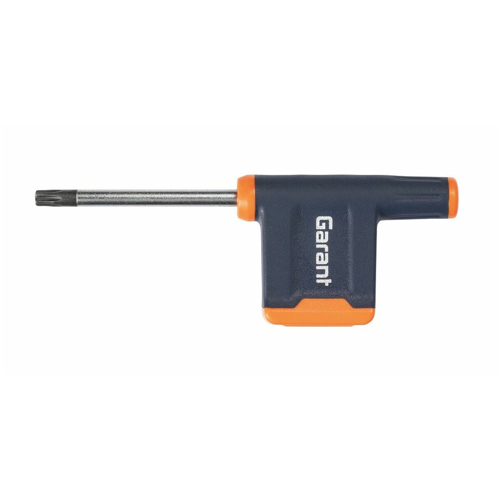 HOA THI 15IP SCREWDRIVER (TORX PLUS ) GARANT