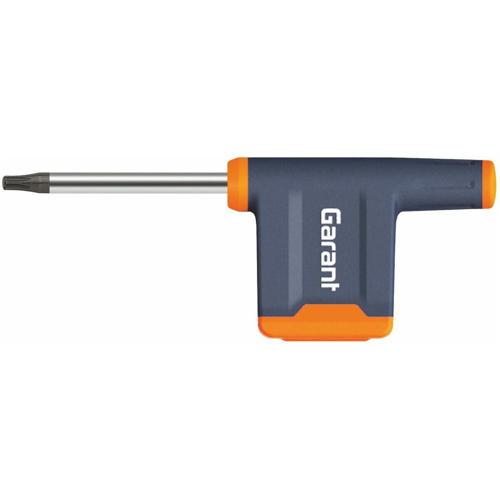HOA THI 10IP SCREWDRIVER (TORX PLUS ) GARANT