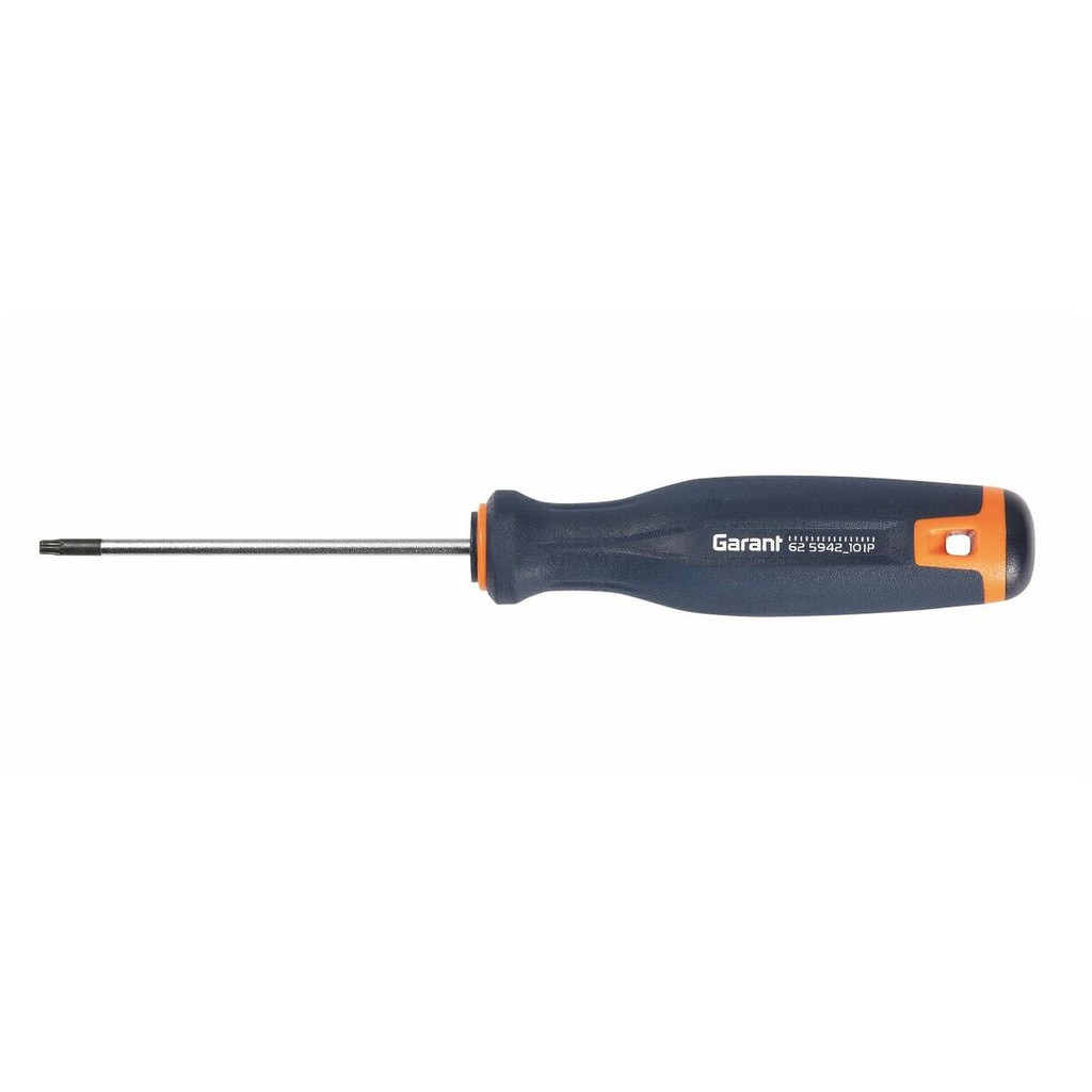 HOA THI 10IP SCREWDRIVER (TORX PLUS ) GARANT